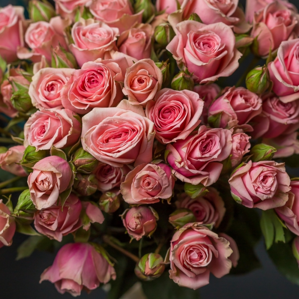 9 Кустовых Розовых Роз (Изображение 4)