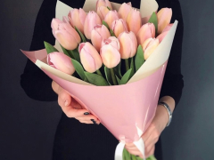 19 Розовых Тюльпанов