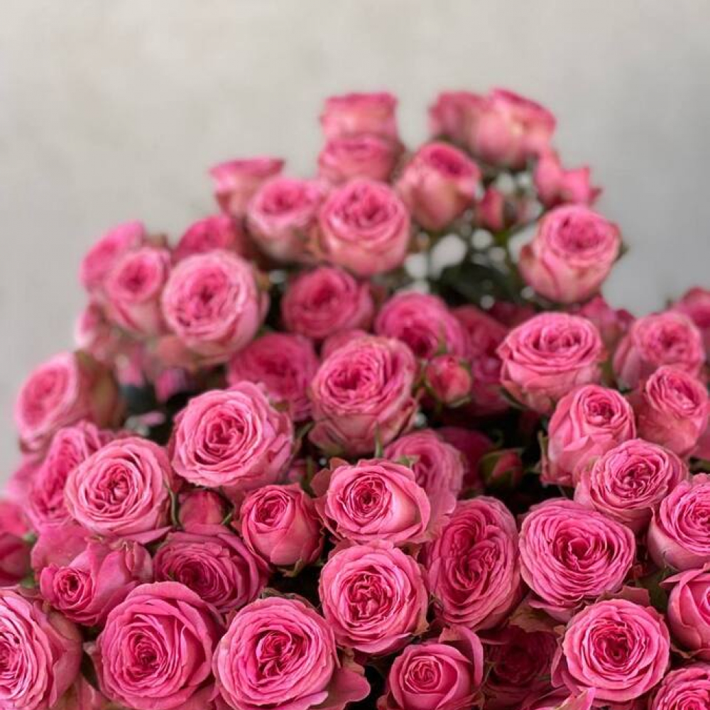 Букет из 15 кустовых роз (Изображение 3)