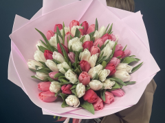 Букет из 61 белого и розового тюльпана 
