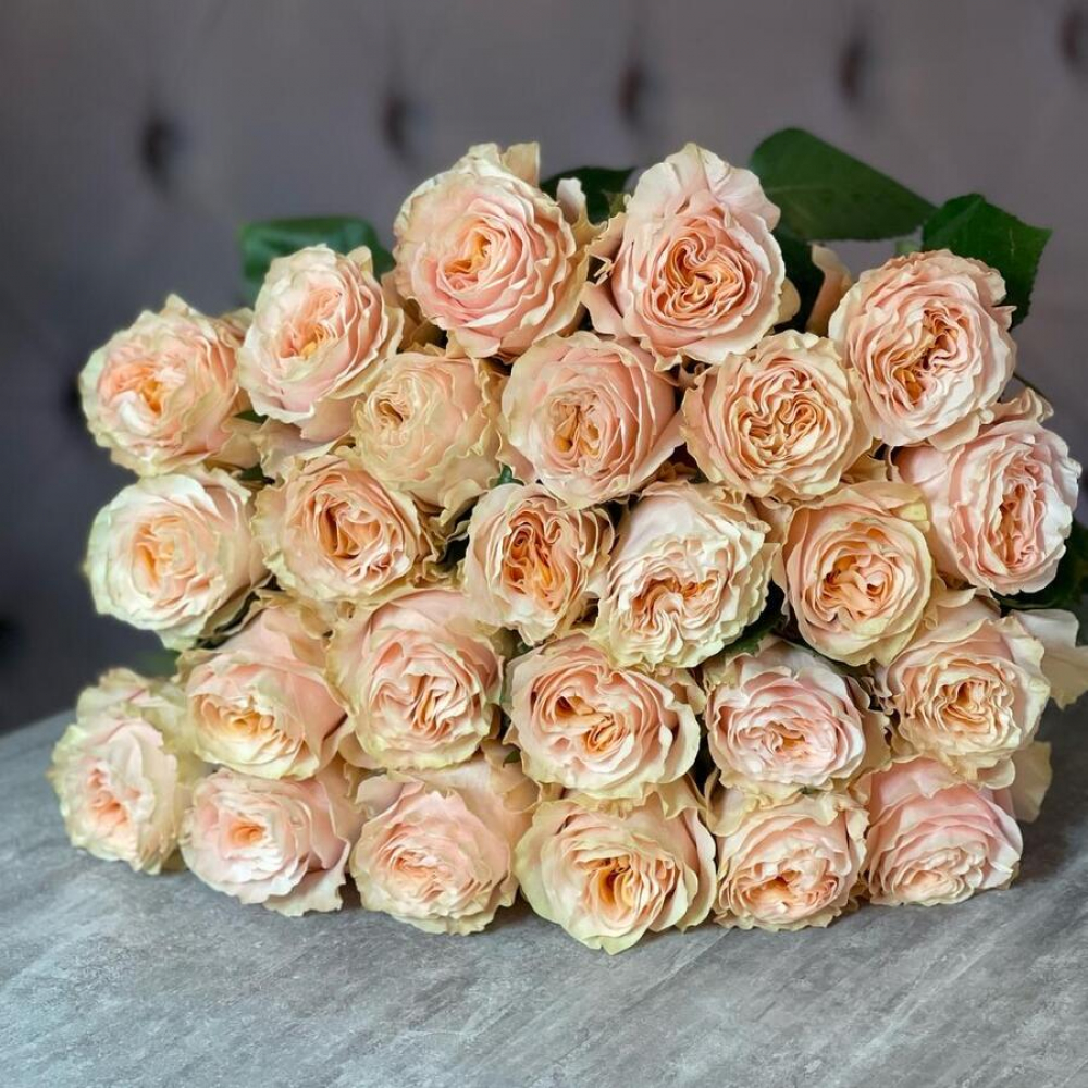 Букет 25 пионовидных роз 