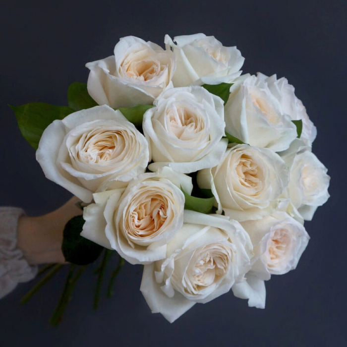 11 ароматных пионовидных роз White O’Hara