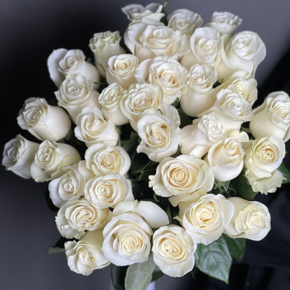35 белоснежных роз Proud (Изображение 2)