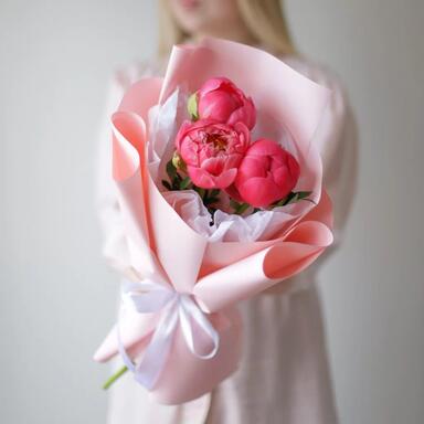 Пионы «Coral Charm» 3шт