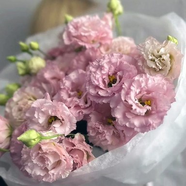 Эустома PINK 7шт
