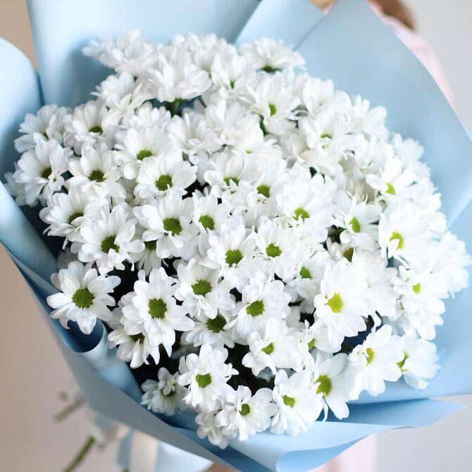 Хризантема белая "Ромашка" 11шт