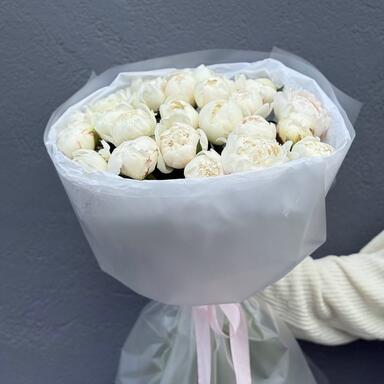Белые пионы 25шт