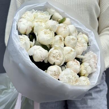 Белые пионы 25шт
