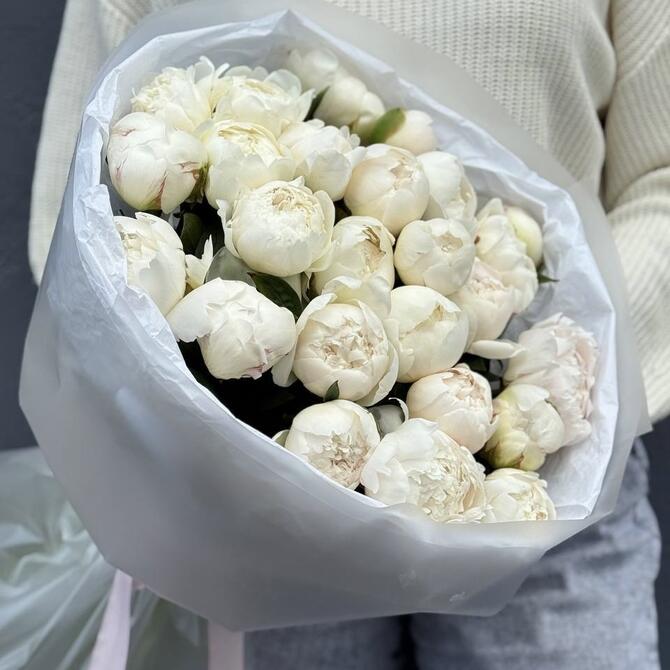 Белые пионы 25шт