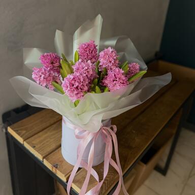 Гиацинты в коробке 