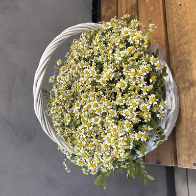 Корзина с ромашками «Sunny day»