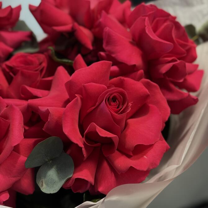 Французские розы Pink Floyd 7шт