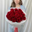 Красные розы «Explorer» 25шт