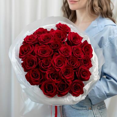 Красные розы «Explorer» 25шт