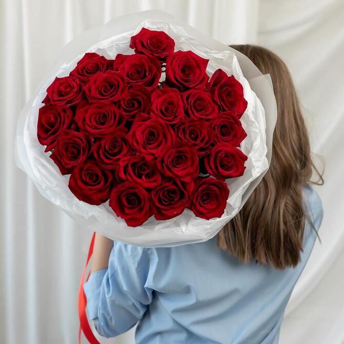 Красные розы «Explorer» 25шт