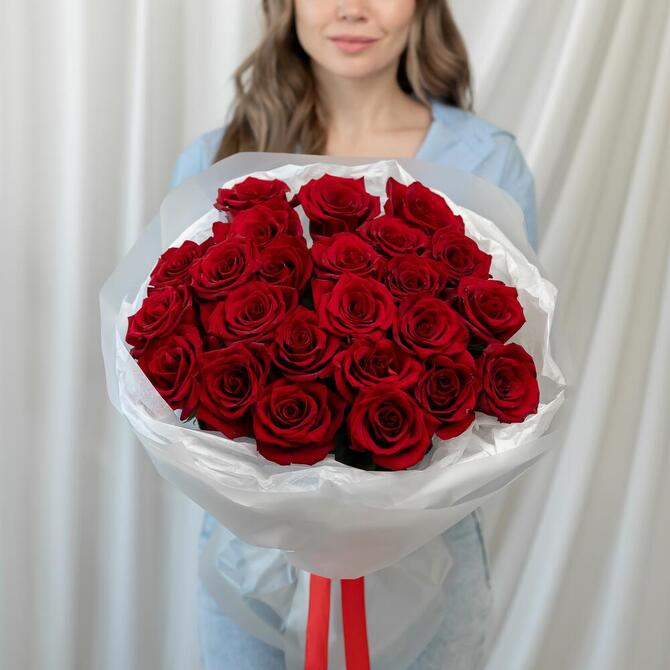 Красные розы «Explorer» 25шт