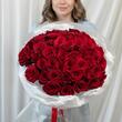 Красные розы «Explorer» 51шт