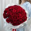 Красные розы «Explorer» 51шт