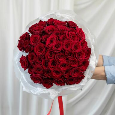 Красные розы «Explorer» 51шт