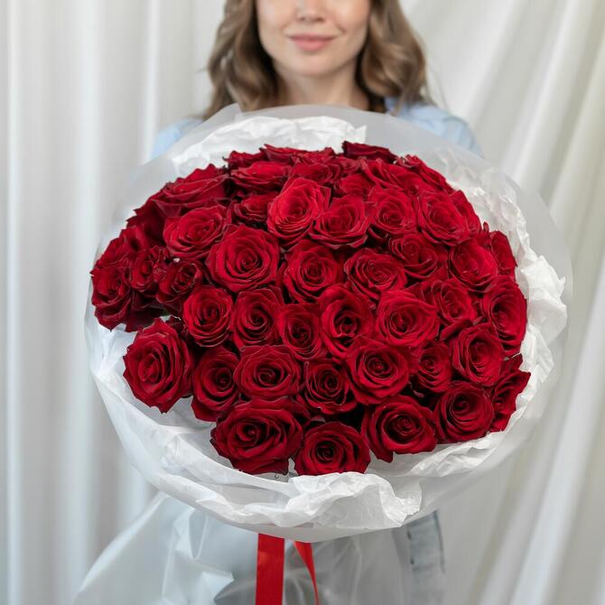 Красные розы «Explorer» 51шт