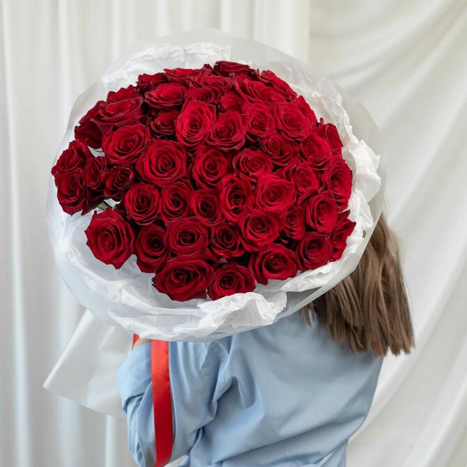 Красные розы «Explorer» 51шт