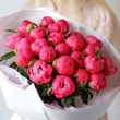 Пионы «Coral Charm» 25шт