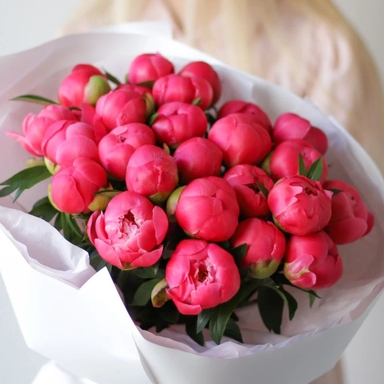 Пионы «Coral Charm» 25шт