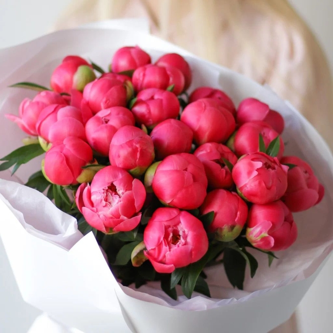 Пионы «Coral Charm» 25шт