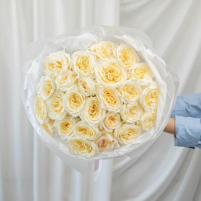 Пионовидная Роза «Candlelight» 25шт