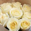 Пионовидная Роза «Candlelight» 9шт