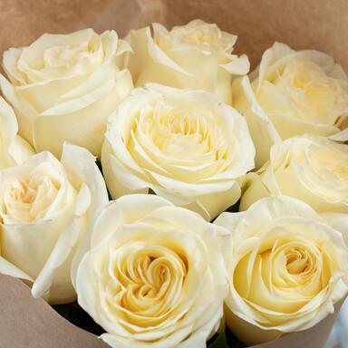 Пионовидная Роза «Candlelight» 9шт