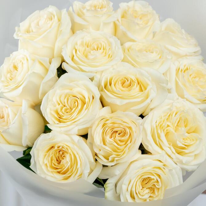 Пионовидная Роза «Candlelight» 15шт