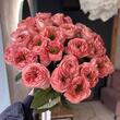 Пионовидные Розы Mandarin Expression 25шт
