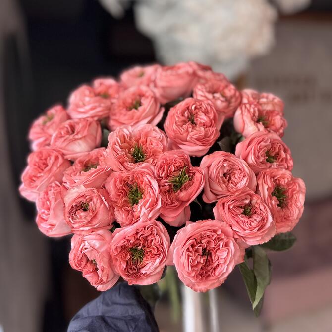 Пионовидные Розы Mandarin Expression 25шт