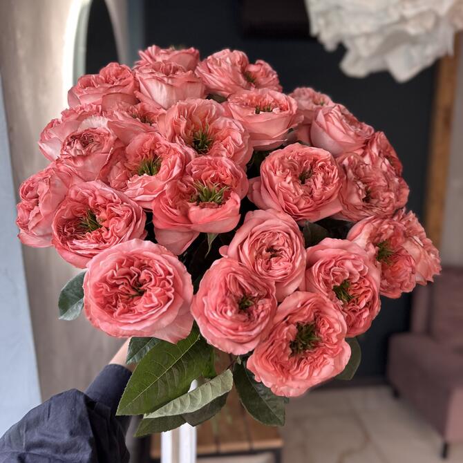 Пионовидные Розы Mandarin Expression 25шт