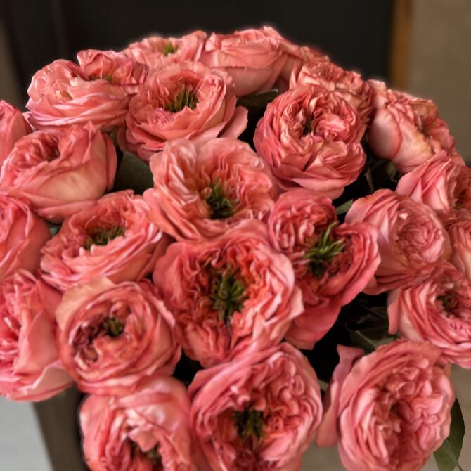 Пионовидные Розы Mandarin Expression 25шт