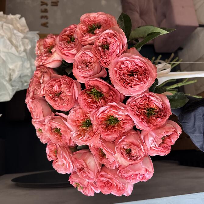 Пионовидные Розы Mandarin Expression 25шт