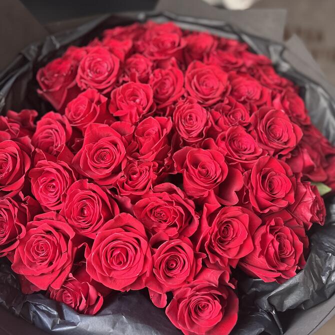 Красные розы BLVCK 51шт