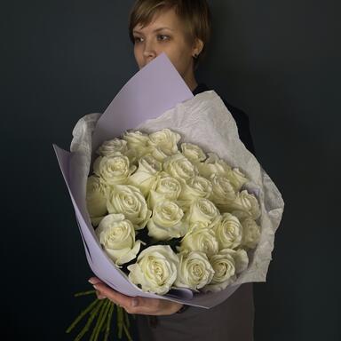 Белые розы "Proud" 25шт LAVENDER