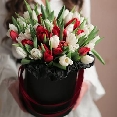 51 красный и белый тюльпан в коробке BLVCK