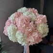 Белые и персиковые гортензии mix 11шт