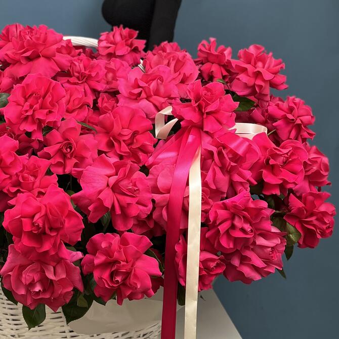 Французские розы «Pink Floyd» в корзине 151шт