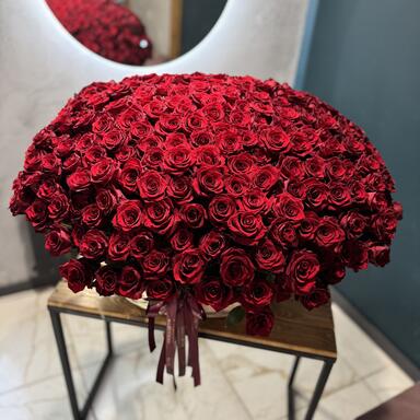 301 красная роза "Explorer" в корзине