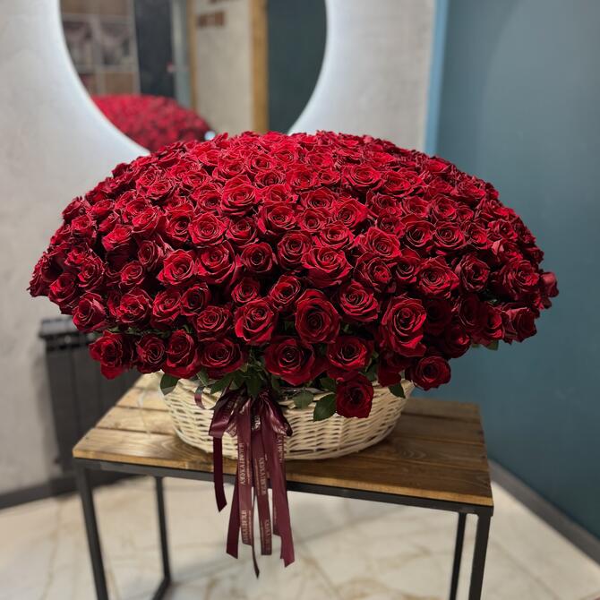 301 красная роза "Explorer" в корзине