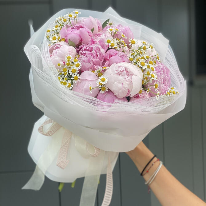 Пионы Сара Бернар и Ромашки