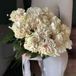 Розы "Cotton Expression" 15шт