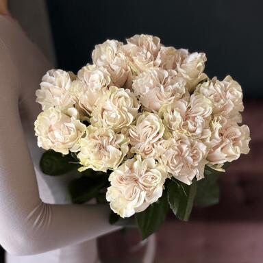 Розы "Cotton Expression" 15шт