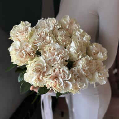 Розы "Cotton Expression" 15шт