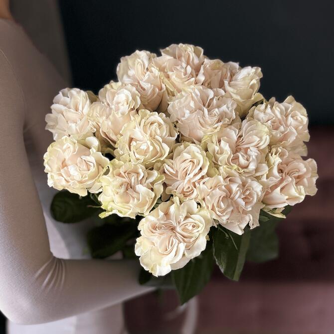 Розы "Cotton Expression" 15шт