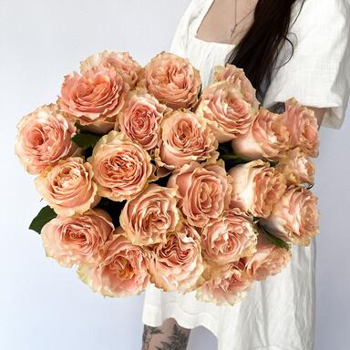 Пионовидная роза «Princess Crown» 25шт